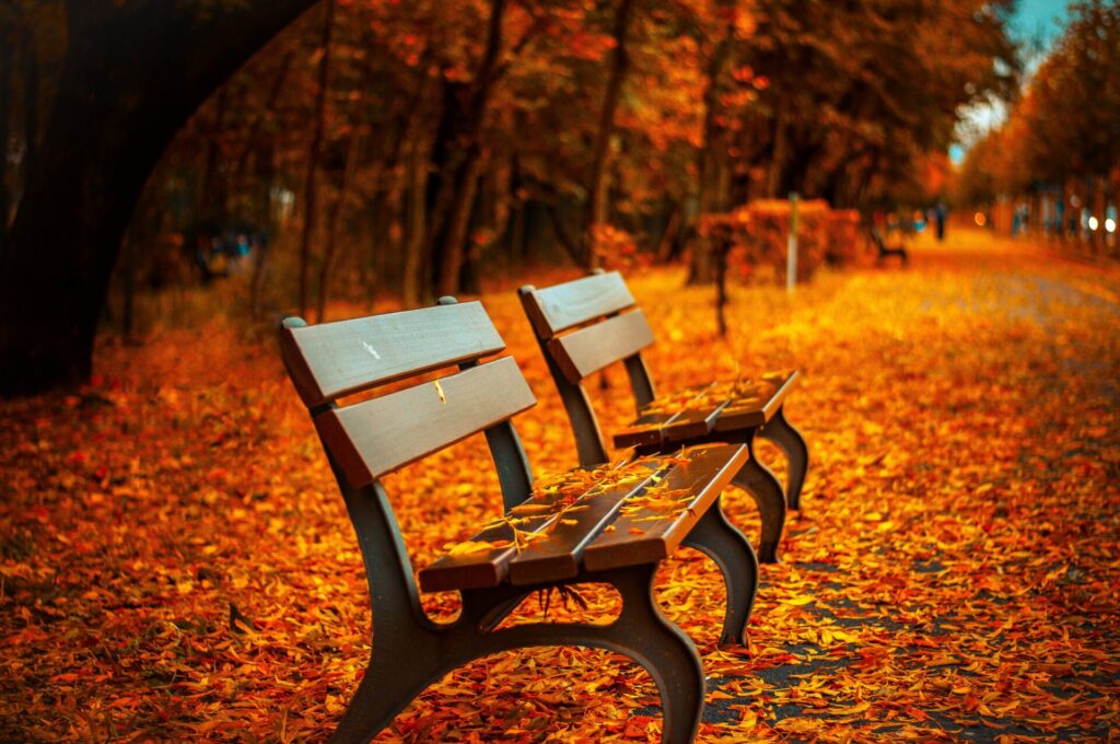 With fall comes change: learning to navigate season changes